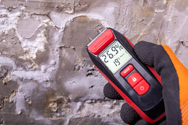 Professional Mold Remediation in Shiloh, IL