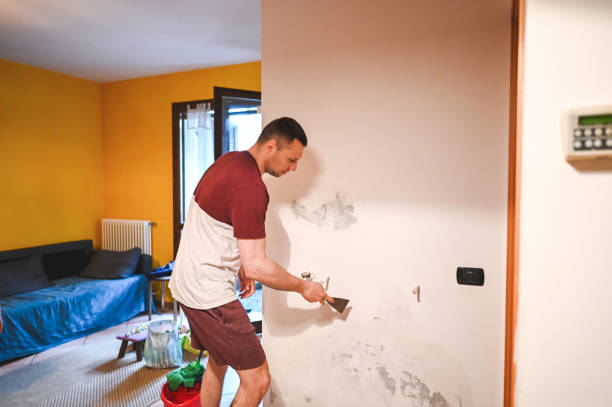 Best Bathroom Mold Remediation in Shoh, IL